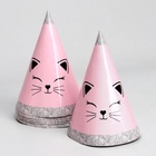 Набор бумажной посуды «Кошечка»: 6 тарелок, 6 стаканов, 6 колпаков, гирлянда - фото 31493149