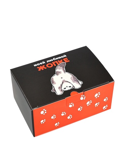 Коробка‒пенал «Забавный котик», 22×15×10 см