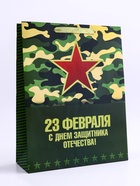 Пакет подарочный вертикальный «С Днём защитника Отечества! », L 31 × 40 × 12 см 10688538 - фото 12962865