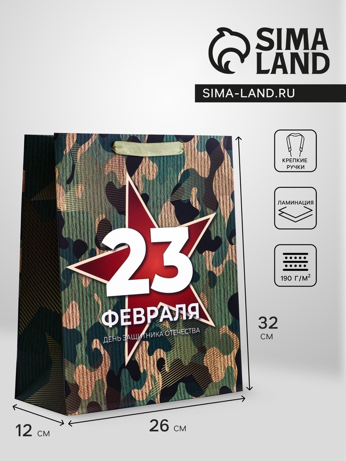 Пакет подарочный вертикальный «Защита», M 26×32×12 см