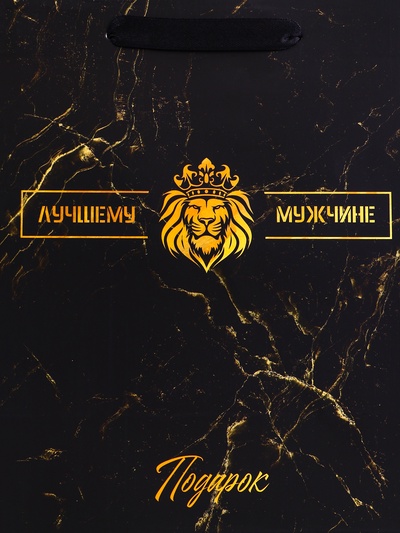 Пакет подарочный вертикальный «Лучшему мужчине», ML 23×27×11.5 см