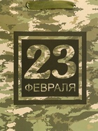 Пакет подарочный вертикальный «23 февраля», ML 23×27×11.5 см - Фото 3
