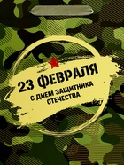 Пакет подарочный вертикальный «23 февраля», ML 23×27×11.5 см - Фото 3