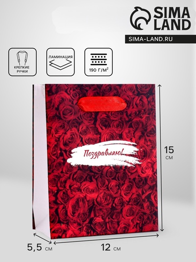 Пакет подарочный вертикальный «Поздравляю», S 12×15×5.5 см