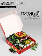 Чай подарочный «23 февраля», 12 пакетиков - Фото 2