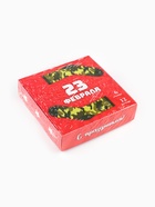 Чай подарочный «23 февраля», 12 пакетиков - Фото 11