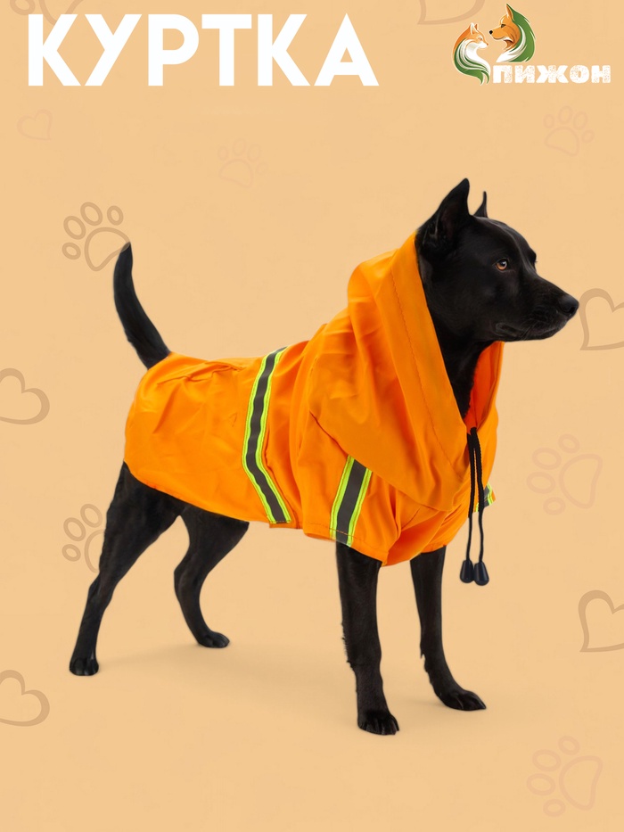 Куртка для собак с подкладом, размер M (ДС 30, ОГ 41 см, вес 4-6 кг), оранжевая - Фото 1