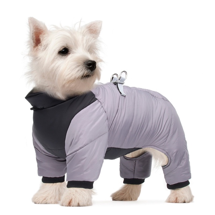 Комбинезон «Тренд», оксфорд, размер 2XL, ДС 43, ОШ 41, ОГ 53 см, вес 16-20 кг, серый - Фото 1