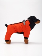 Комбинезон «Тренд», оксфорд, M (ДС 27, ОШ 29, ОГ 38 см, вес 5-8 кг), оранжевый - Фото 3