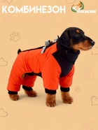 Комбинезон "Тренд", оксфорд, 2XL (ДС 43, ОШ 41, ОГ 53 см, вес 16-20 кг), оранжевый 10572204 - фото 812730