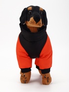 Комбинезон «Тренд», оксфорд, 2XL (ДС 43, ОШ 41, ОГ 53 см, вес 16-20 кг), оранжевый - Фото 4