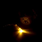 УЦЕНКА Набор для опытов «Новогодняя гирлянда», 5 насадок 10859503