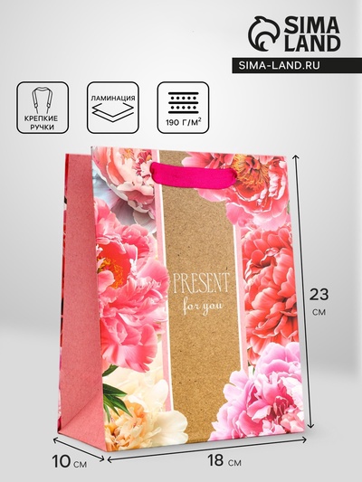 Пакет подарочный вертикальный PRESENT for you, 18×23×10 см