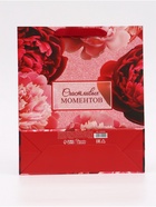 Пакет подарочный вертикальный «Счастливых моментов», 25.5×30×9 см - Фото 5