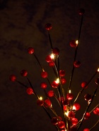 Светодиодный куст «Рябина» 45 см, 24 LED, постоянное свечение, от батареек AAx3, свечение тёплое белое - фото 809717000