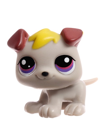 Набор игрушек Crazy Pets, 10 фигурок, МИКС