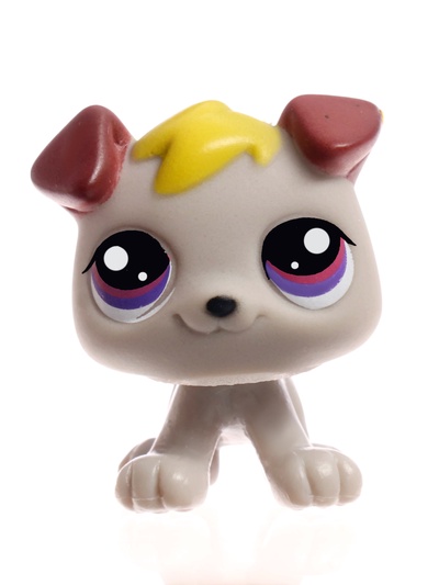 Набор игрушек Crazy Pets, 10 фигурок, МИКС