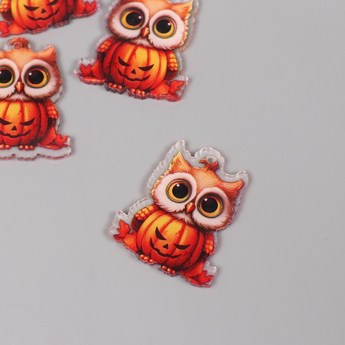 Декор для творчества акрил «Совёнок с тыквой», 3.4×2.9×0.2 см