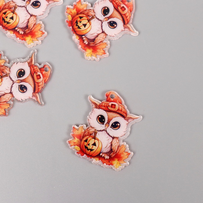 Декор для творчества акрил «Совёнок в шапочке с тыквой», 2.4×2.9×0.2 см - Фото 1