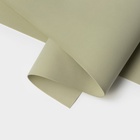 Фоамиран иранский, 60?70 см, толщина 1 мм, фисташковый/196 (комплект 10 шт) - фото 32218009