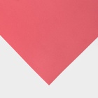 Фоамиран иранский, 60?70 см, толщина 1 мм, коралловый/143 (комплект 10 шт) - фото 32218016