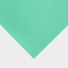 Фоамиран иранский, 60?70 см, толщина 1 мм, мятный/180 (комплект 10 шт) - фото 32218020