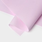 Фоамиран иранский, 60?70 см, толщина 1 мм, бледно-розовый/142 (комплект 10 шт) - фото 32218021