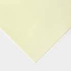 Фоамиран иранский, 60×70 см, толщина 1 мм, светло-лимонный/107 10667907