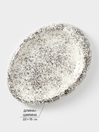 Блюдо для подачи «Овал Крошка», 22×15×3 см, керамика, Иран - Фото 2