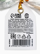 Леденец на палочке «Сильному духом», вкус: яблоко, 30 г (комплект 2 шт) - фото 65442864