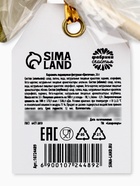 Леденец на палочке цветок «С 8 марта», микс (комплект 2 шт) - фото 65442867