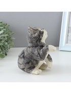 Копилка для денег TAKE IT EASY «Хитрый котик», полистоун, 14×10×16 см - Фото 2