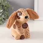 Копилка для денег «Озорная собачка», керамика, 8.6×11.8×13.1 см - Фото 1