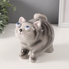 Копилка для денег «Котик-пучеглаз серый полосатый», керамика, 11×15.2×13.4 см - Фото 3