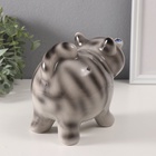 Копилка для денег «Котик-пучеглаз серый полосатый», керамика, 11×15.2×13.4 см - Фото 5