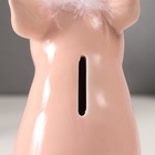 Копилка для денег «Хрюша-пучеглазка», керамика, 10×13.5×17 см - Фото 5