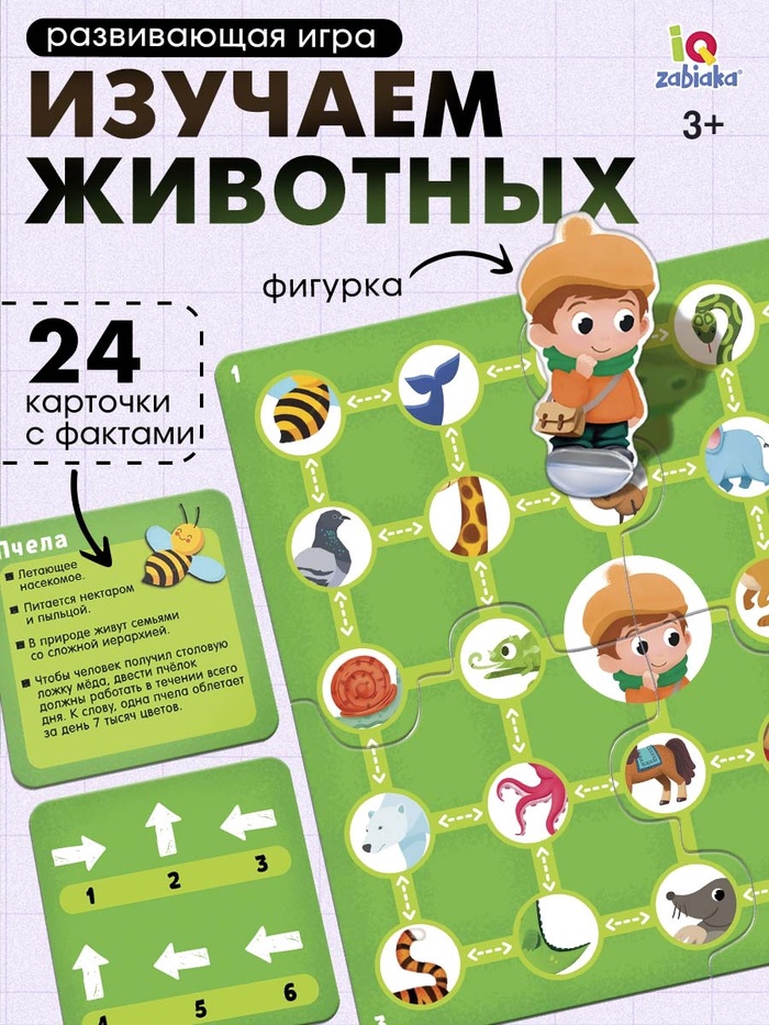 Развивающая игра «Пройди по стрелкам. Изучаем животных», 24 карточки, 3+ - Фото 1