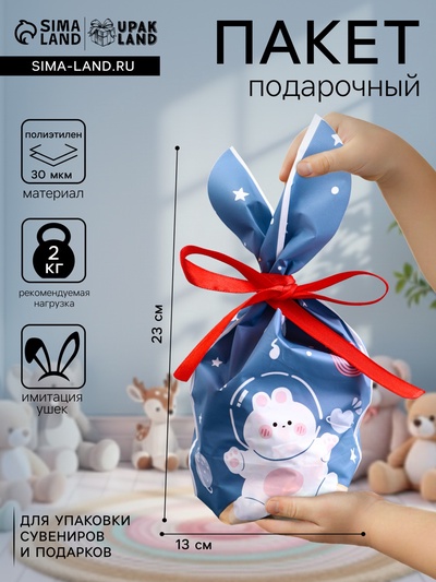 Пакет полиэтиленовый подарочный с ушками «Мишка на луне», 13×23 см