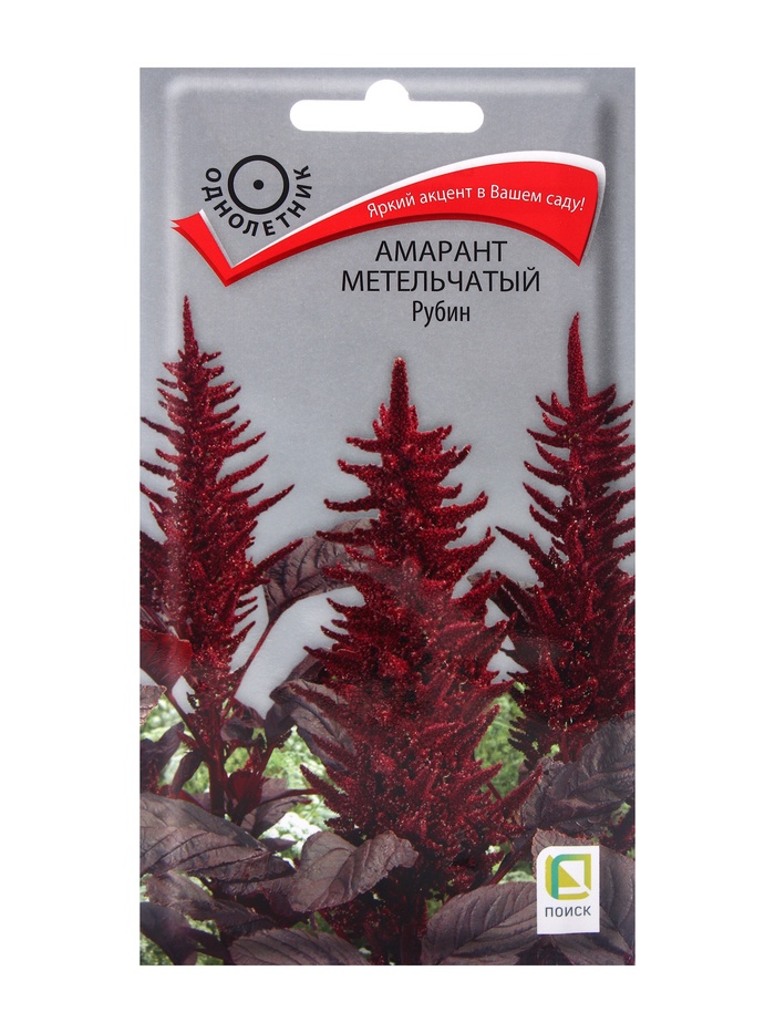 Семена цветов Амарант метельчатый "Рубин", 0,05гр. - Фото 1