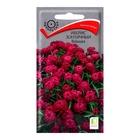 Семена цветов Иберис зонтичный "Вспышка", 0,3гр. - Фото 1