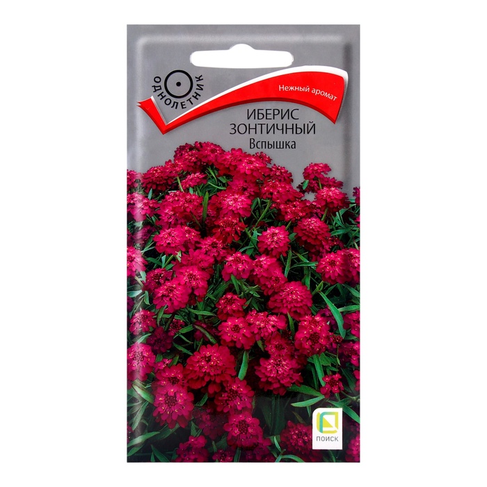 Семена цветов Иберис зонтичный "Вспышка", 0,3гр. - Фото 1