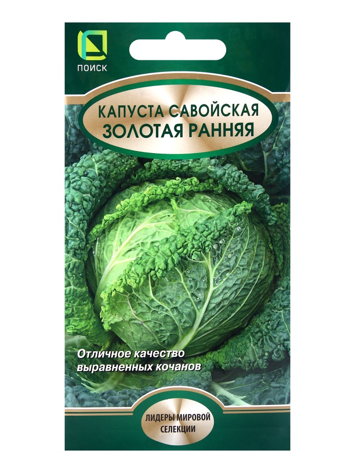Семена Капуста савойская «Золотая ранняя», 0.5 г, «Поиск» - Фото 1