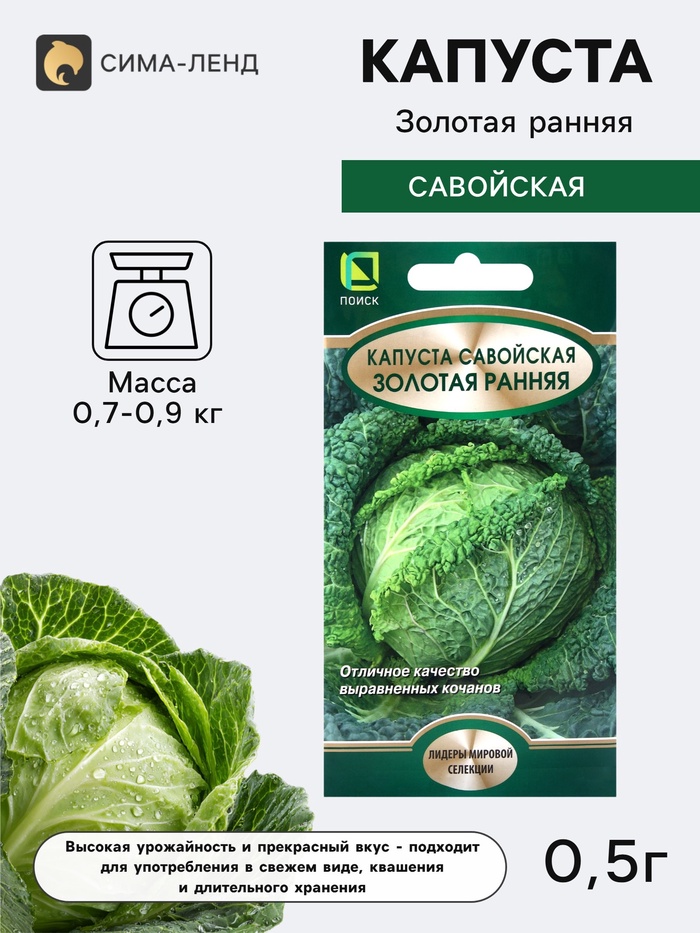 Семена Капуста савойская «Золотая ранняя», 0.5 г, «Поиск» - Фото 1