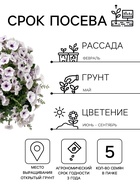 Семена цветов Петуния гибридная «Пендолино Виолет Айс» 5 шт. - Фото 2