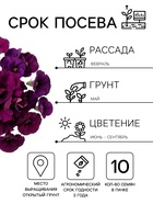 Семена цветов Петуния махровая «Дабл каскад блю» 10 шт. - Фото 2