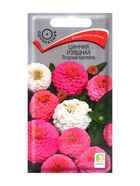 Семена Цинния изящная "Ягодный коктейль", 0,2гр. - Фото 1