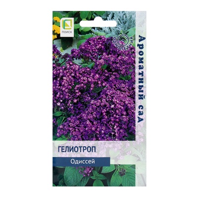 Семена цветов Гелиотроп Одиссей, «Ароматный сад», 0.03 г, «ПОИСК»