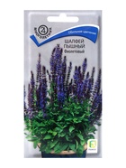 Семена цветов Шалфей пышный Фиолетовый, 0,1гр - Фото 1