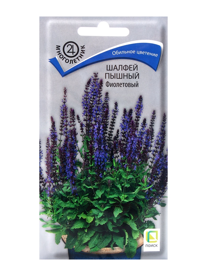 Семена цветов Шалфей пышный Фиолетовый, 0,1гр - Фото 1