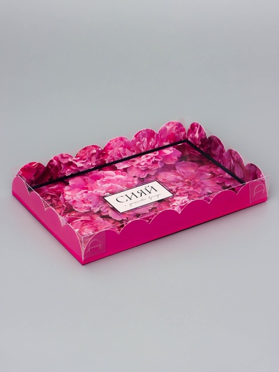 Коробка для печенья, «Сияй», 22×15×3 см